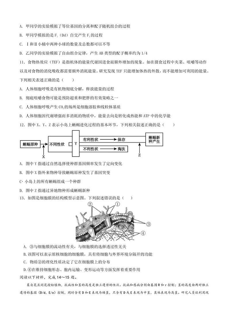 2024～2025学年浙江省金华市金东区曙光学校高二(上)期中生物试卷(含答案)第3页