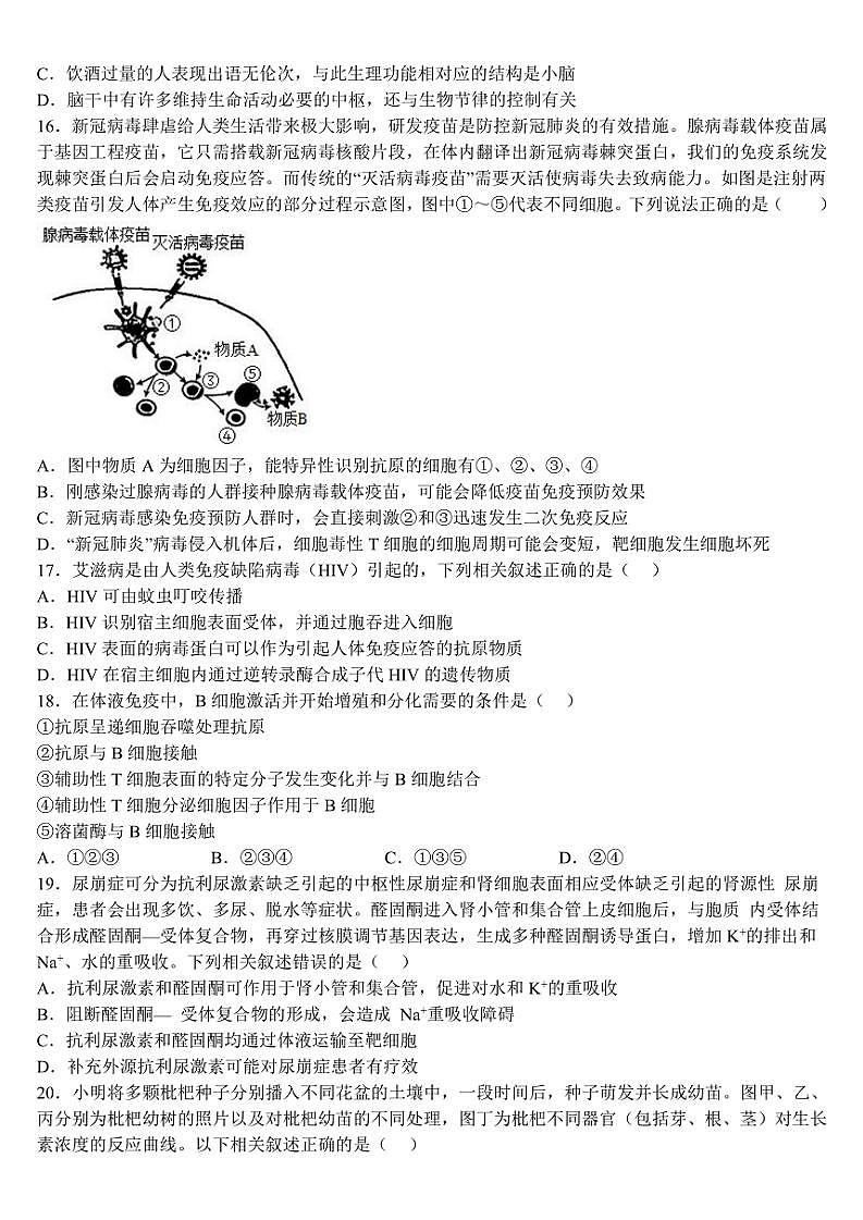2024～2025学年黑龙江省牡丹江市海林市朝鲜族中学高二(上)第二次月考生物试卷(含答案)第3页