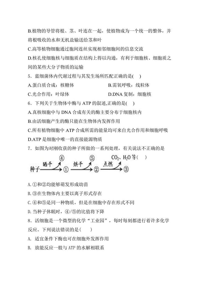 2024～2025学年黑龙江省牡丹江市海林市朝鲜族中学高一(上)第二次月考生物试卷(含答案)第2页