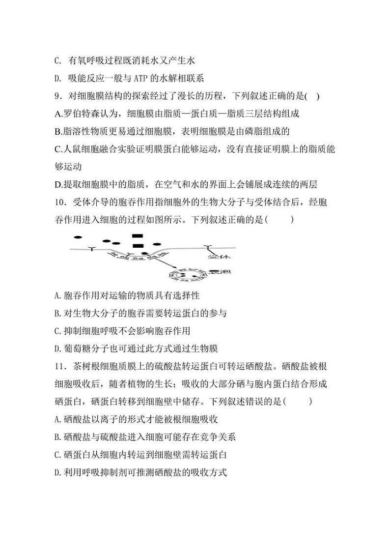 2024～2025学年黑龙江省牡丹江市海林市朝鲜族中学高一(上)第二次月考生物试卷(含答案)第3页