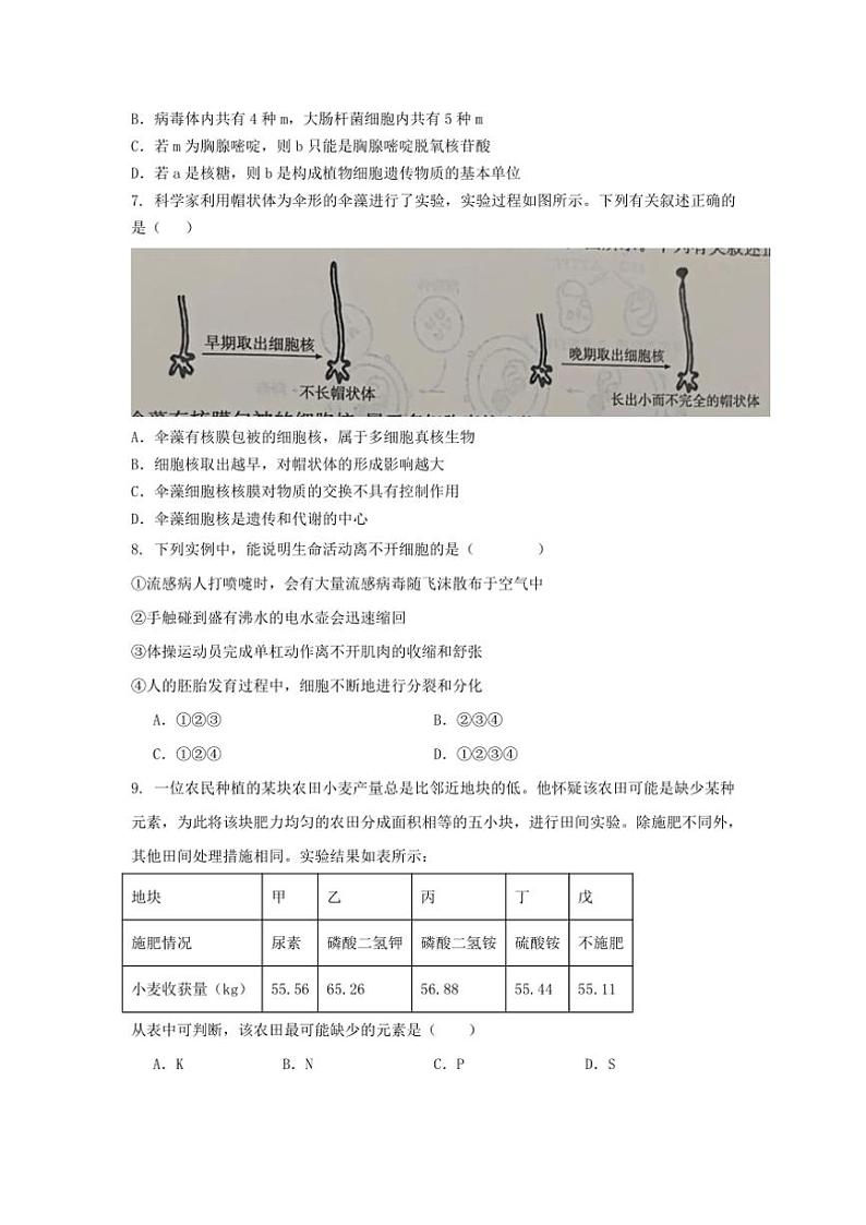 2024～2025学年广东省汕头市河溪中学高一(上)期中生物科试卷(无答案)第2页
