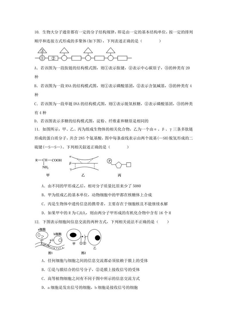 2024～2025学年广东省汕头市河溪中学高一(上)期中生物科试卷(无答案)第3页
