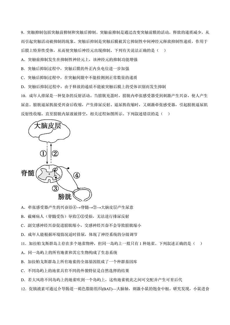 2024～2025学年重庆市第八中学校高二(上)期中生物试卷(含答案)第3页