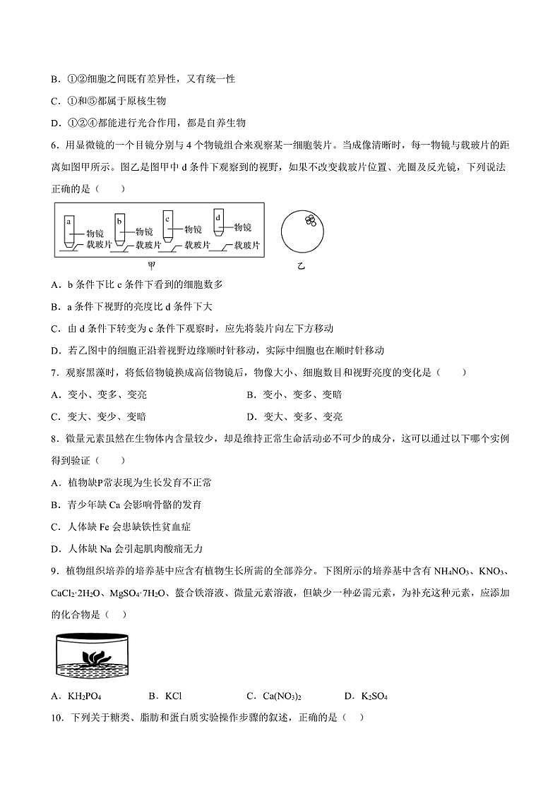 2024～2025学年重庆市南坪中学校高一(上)期中生物试卷(含答案)第2页