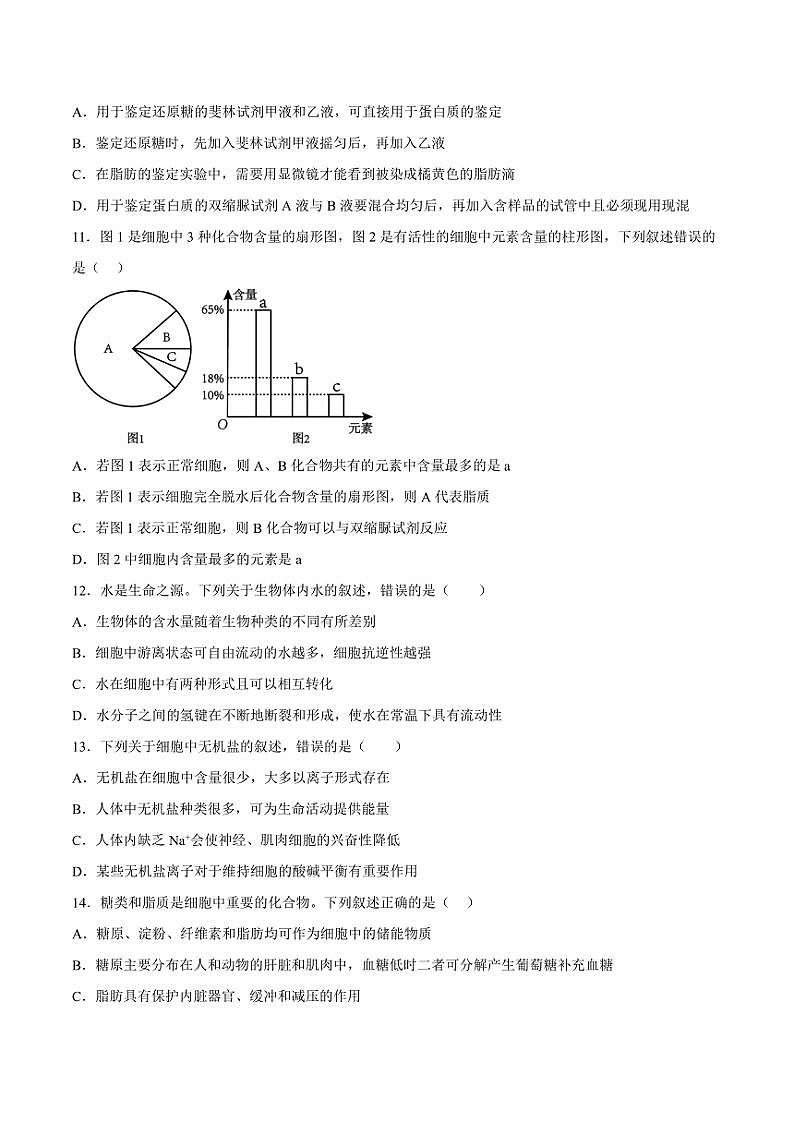 2024～2025学年重庆市南坪中学校高一(上)期中生物试卷(含答案)第3页