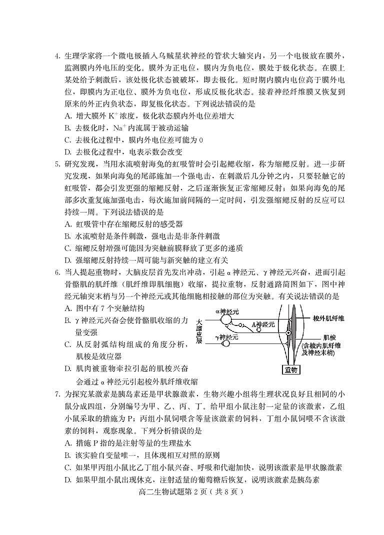 （教研室提供）山东省潍坊安丘等四区县2024-2025学年高二上学期期中考试生物试题第2页
