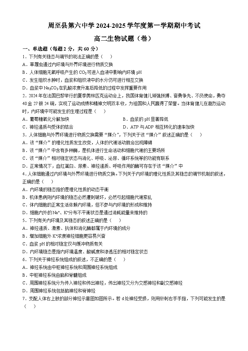 陕西省西安市周至县第六中学2024-2025学年高二上学期11月期中生物试题第1页