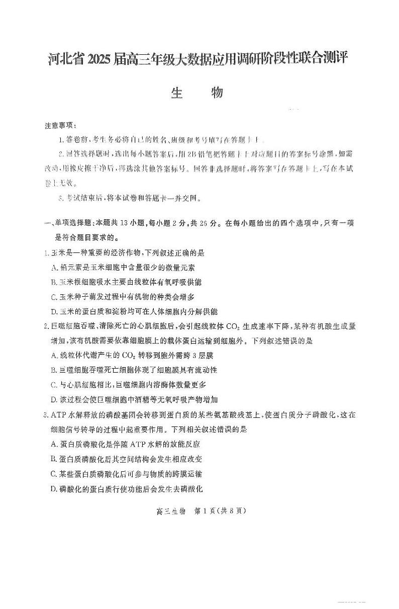 2025届河北省高三上学期11月大数据应用调研阶段性联合测评测生物试题第1页