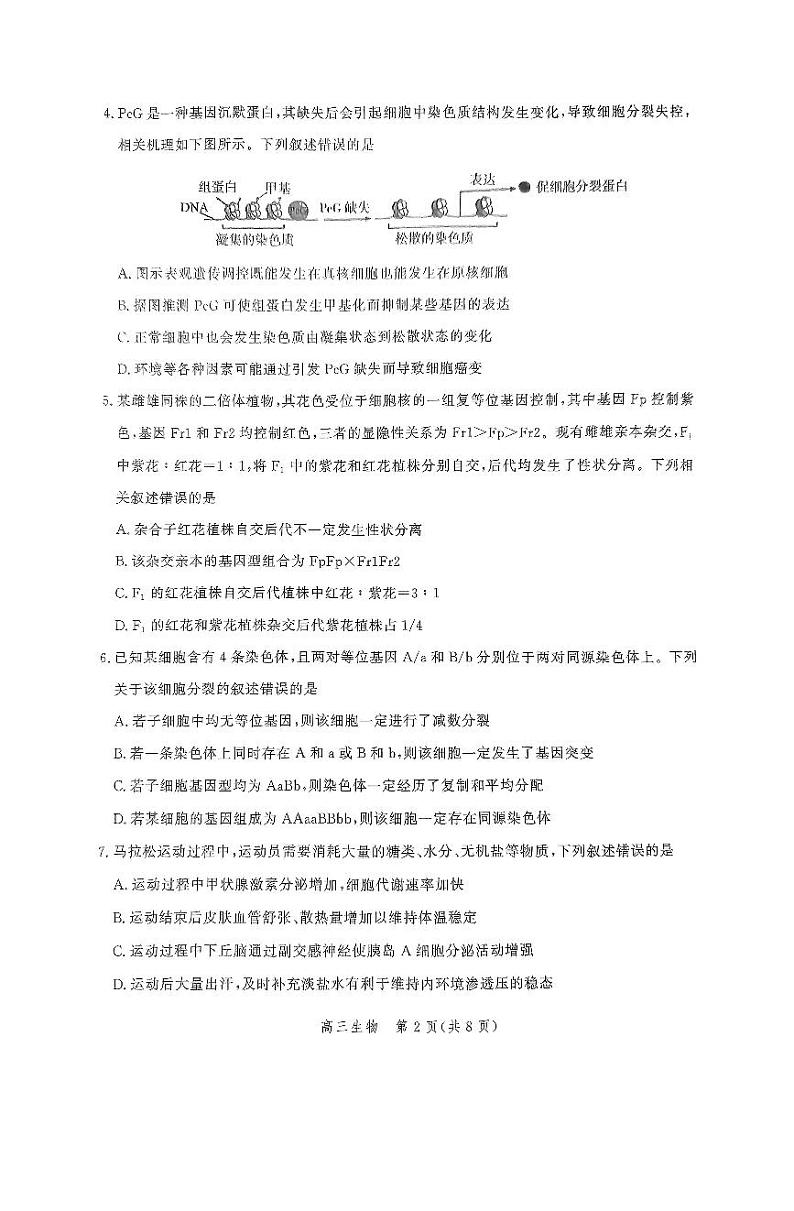 2025届河北省高三上学期11月大数据应用调研阶段性联合测评测生物试题第2页