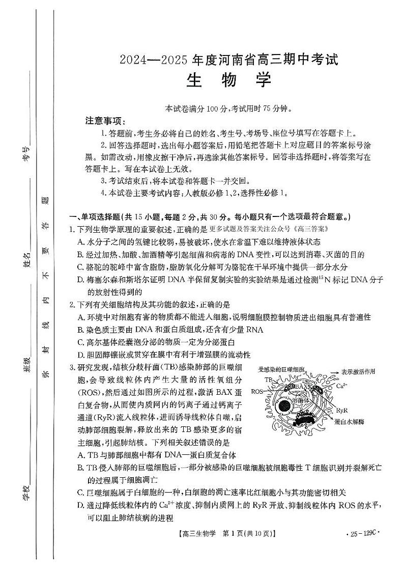 河南省金太阳2024-2025学年高三上学期11月期中联考生物试题第1页