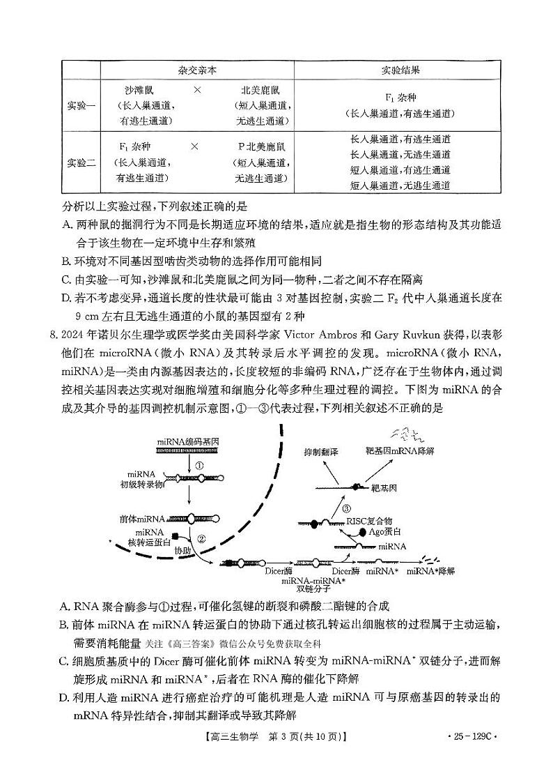 河南省金太阳2024-2025学年高三上学期11月期中联考生物试题第3页