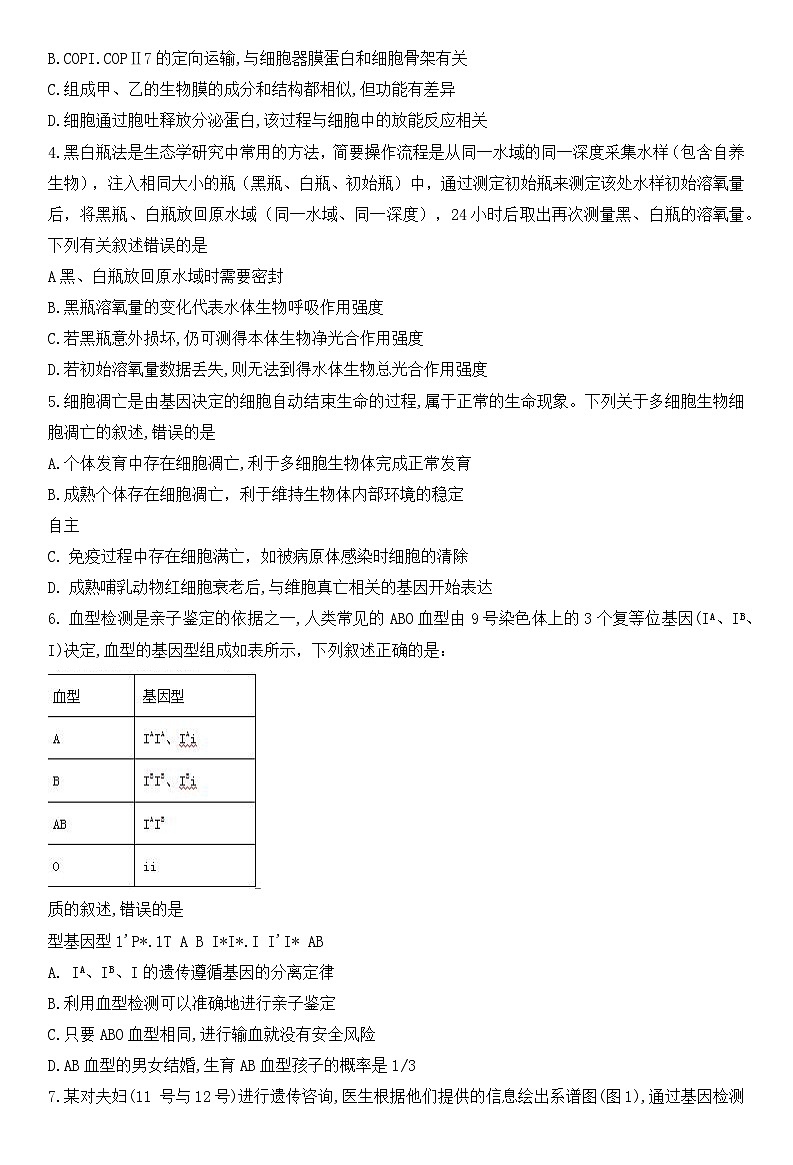 湖北省华大新高考联盟2025届高三上学期11月期中联考试题 生物 含解析第2页