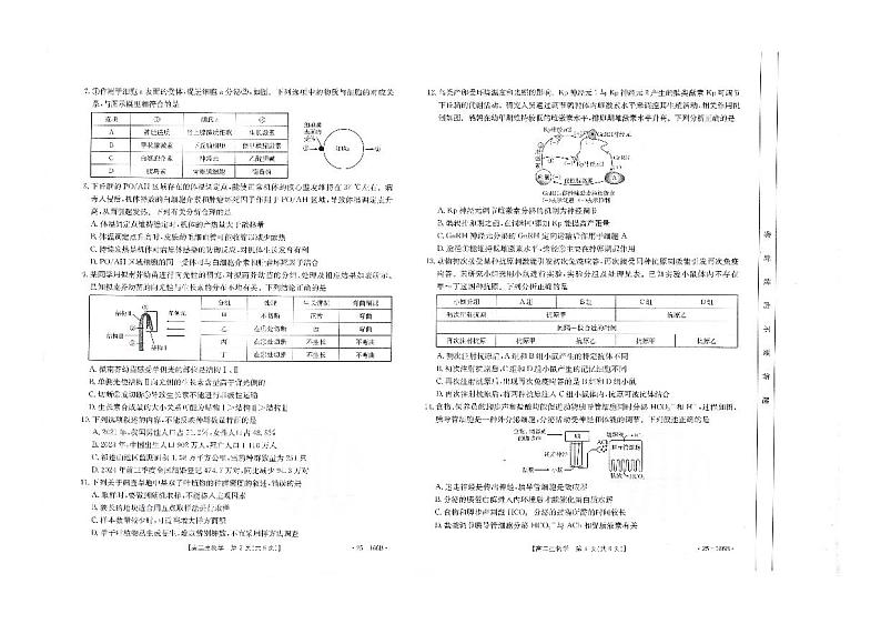 河南省金太阳2024-2025学年高二上学期期中联考生物试题第2页