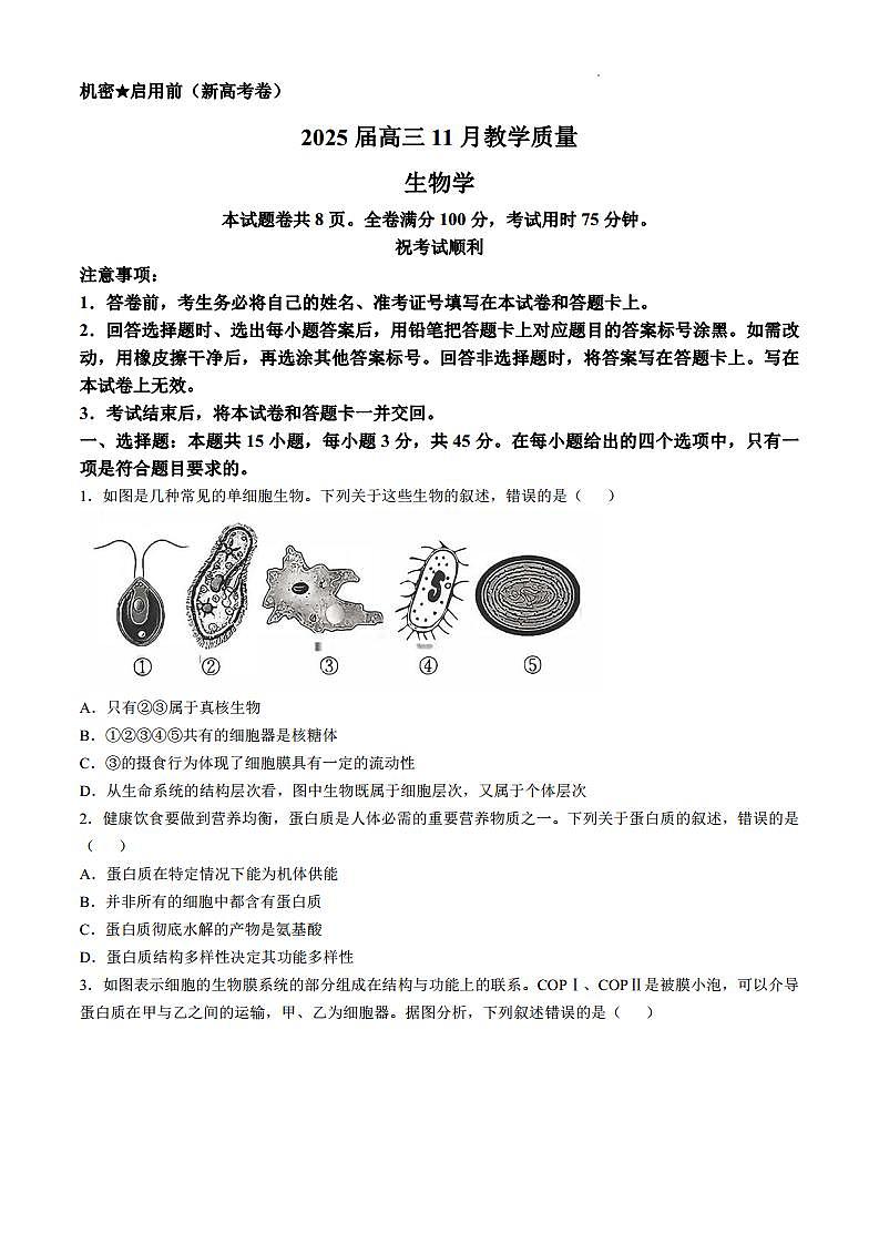 河南省华大联考2024-2025学年高三上学期11月期中生物试题(无答案)第1页
