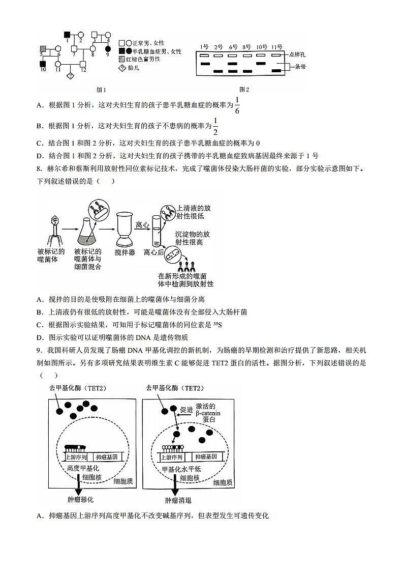 河南省华大联考2024-2025学年高三上学期11月期中生物试题(无答案)第3页