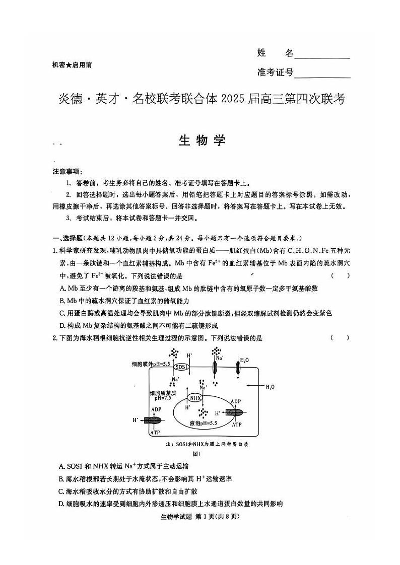 湖南省炎德英才名校联考联合体2025届高三上学期11月第四次联考-生物试卷+答案第1页
