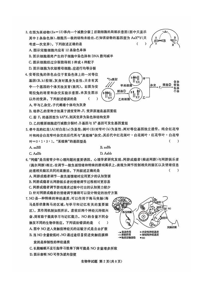 湖南省炎德英才名校联考联合体2025届高三上学期11月第四次联考-生物试卷+答案第2页