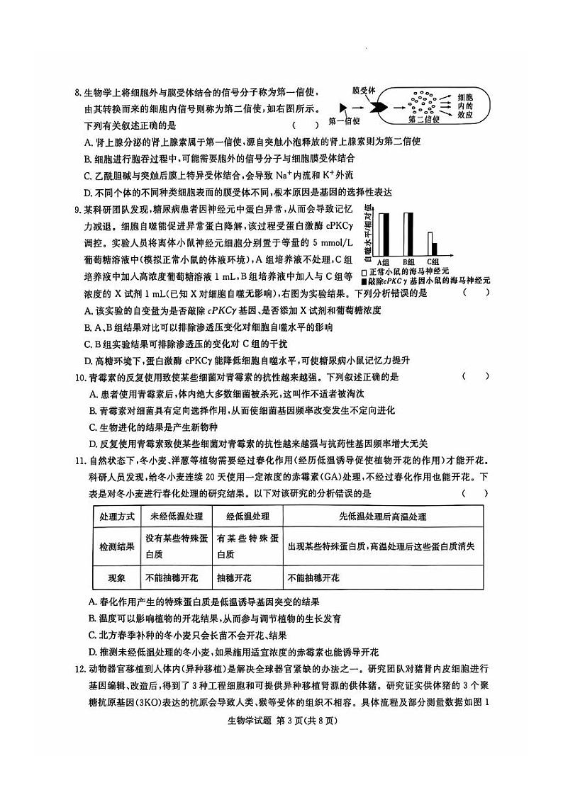 湖南省炎德英才名校联考联合体2025届高三上学期11月第四次联考-生物试卷+答案第3页
