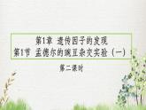 人教版（2019）生物必修二1.1孟德尔的豌豆杂交实验（第二课时）（课件，练习（含答案），学案（含答案））