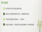 人教版（2019）生物必修二1.1孟德尔的豌豆杂交实验（第二课时）（课件，练习（含答案），学案（含答案））