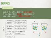 人教版（2019）生物必修二1.1孟德尔的豌豆杂交实验（第二课时）（课件，练习（含答案），学案（含答案））