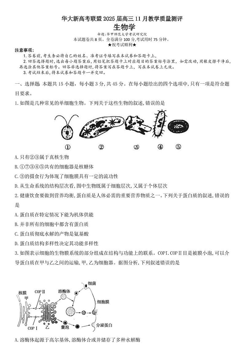 华大新高考联盟2025届高三上学期11月教学质量测评-生物试题+答案第1页