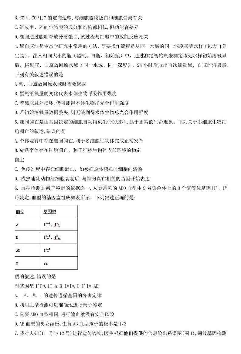 华大新高考联盟2025届高三上学期11月教学质量测评-生物试题+答案第2页