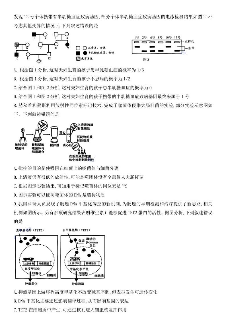 华大新高考联盟2025届高三上学期11月教学质量测评-生物试题+答案第3页
