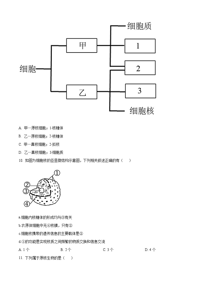 湖南省长沙市岳麓区长沙市岳麓实验中学2024-2025学年高一上学期11月期中生物试题 Word版无答案第3页