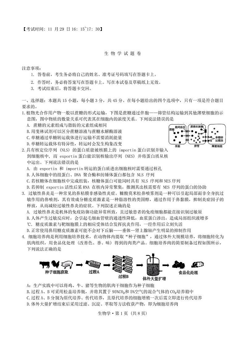 重庆市第一中学校2025届高三上学期11月期中考-生物试题+答案第1页