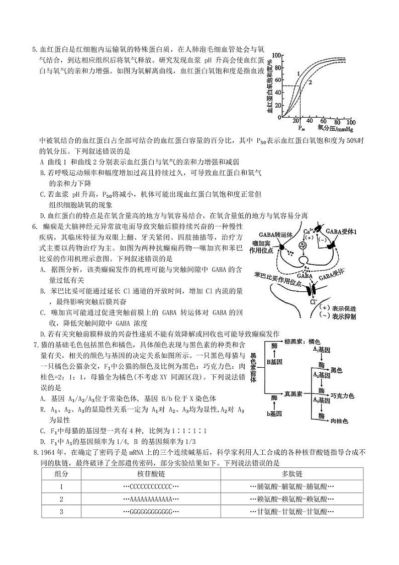 重庆市第一中学校2025届高三上学期11月期中考-生物试题+答案第2页