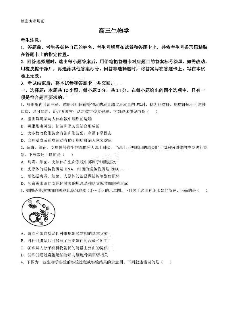 2025湖南天一高三11月联考生物试题及参考答案第1页