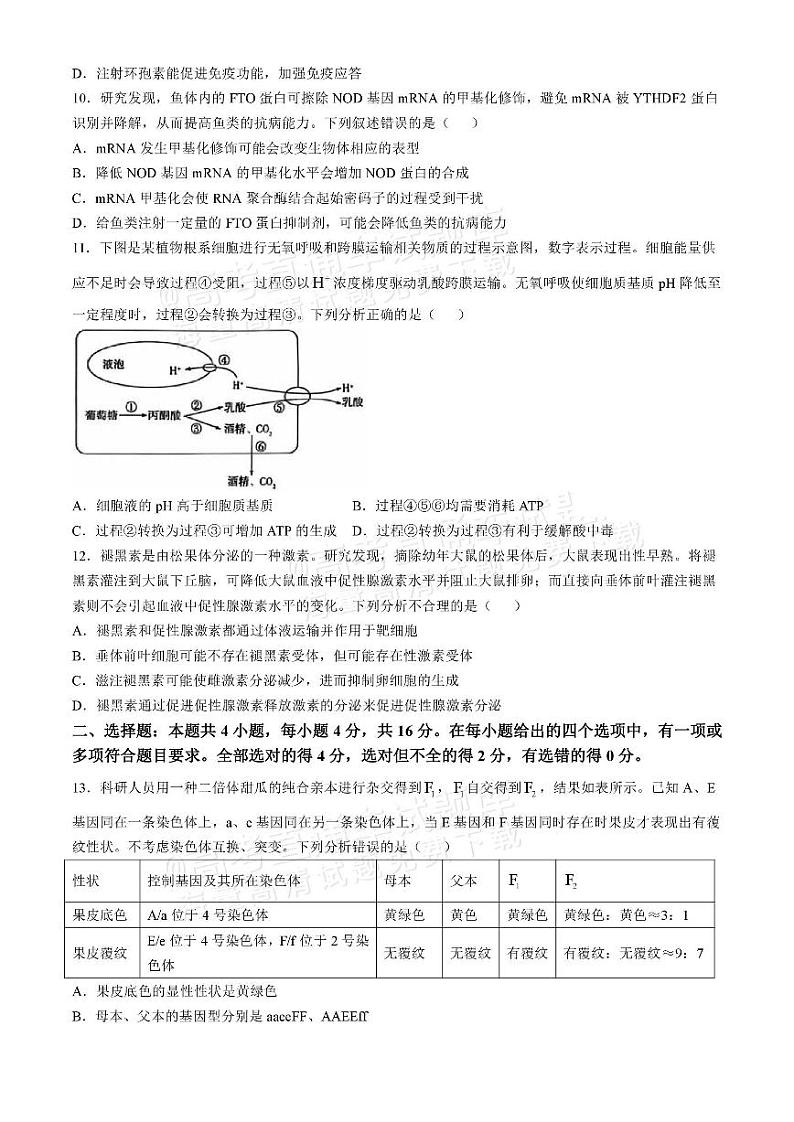 2025湖南天一高三11月联考生物试题及参考答案第3页