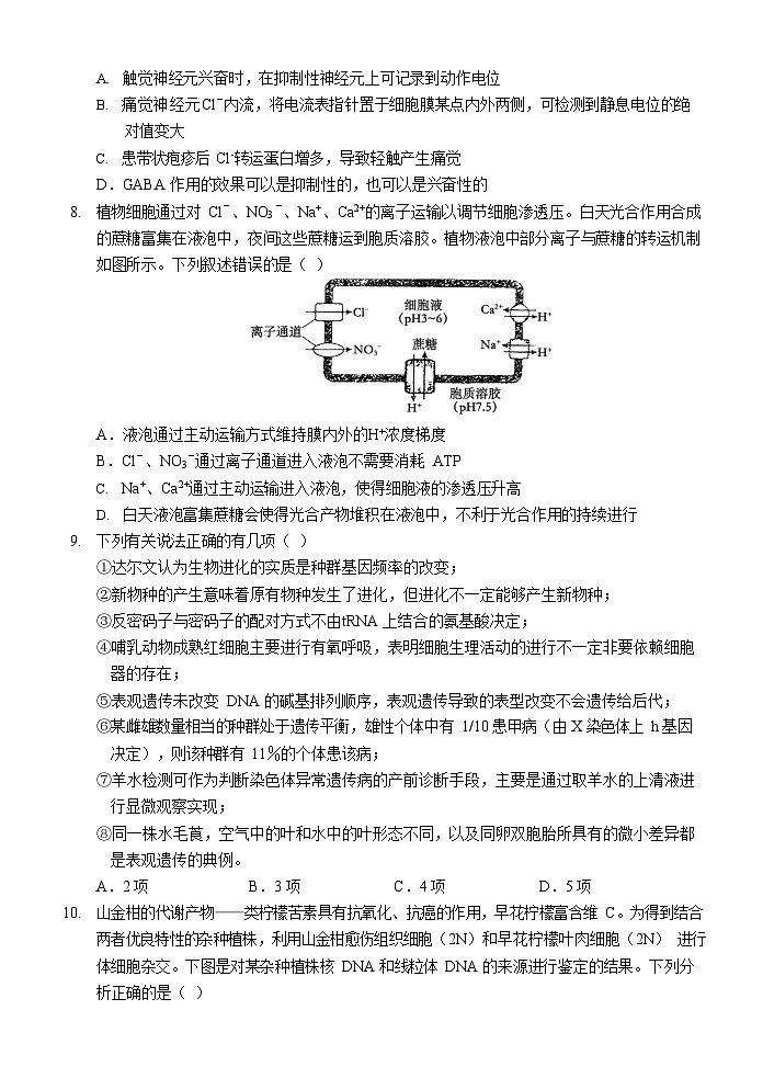 重庆市西南大学附属中学校2024-2025学年高三上学期11月阶段性检查生物试题（二））第3页