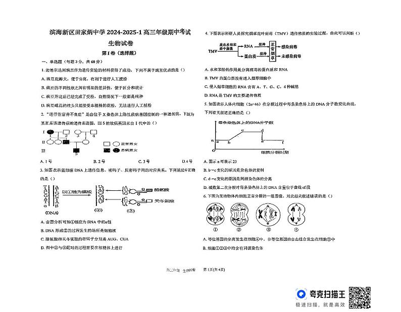 天津市滨海新区田家炳中学2024-2025学年高三上学期期中考试生物试题第1页