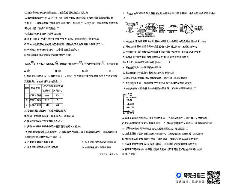 天津市滨海新区田家炳中学2024-2025学年高三上学期期中考试生物试题第2页