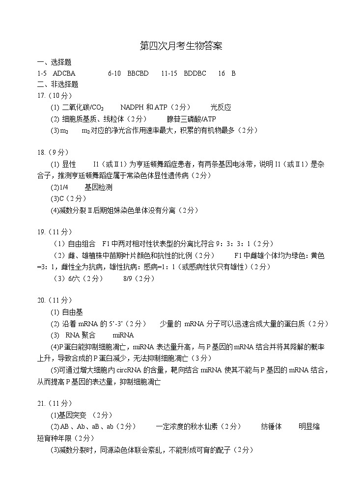 2025届高三第四次月考生物试卷答案第1页