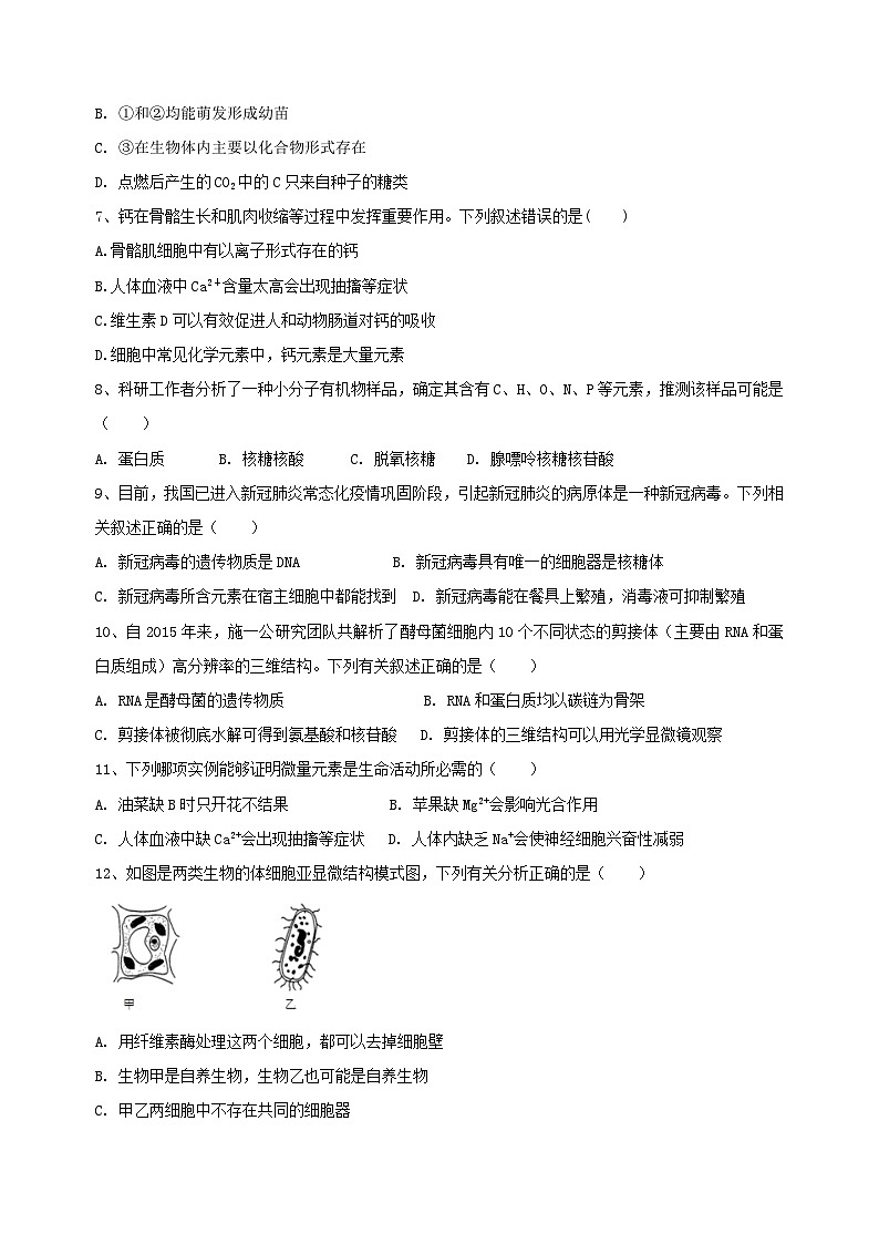 海南省某校2024-2025学年高一上学期期中考试生物试题第2页