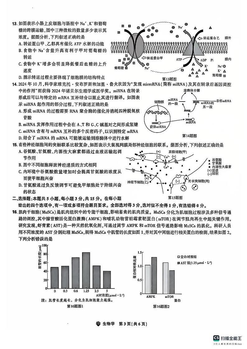 东北三省精准教学2024年12月高三联考生物试卷第2页