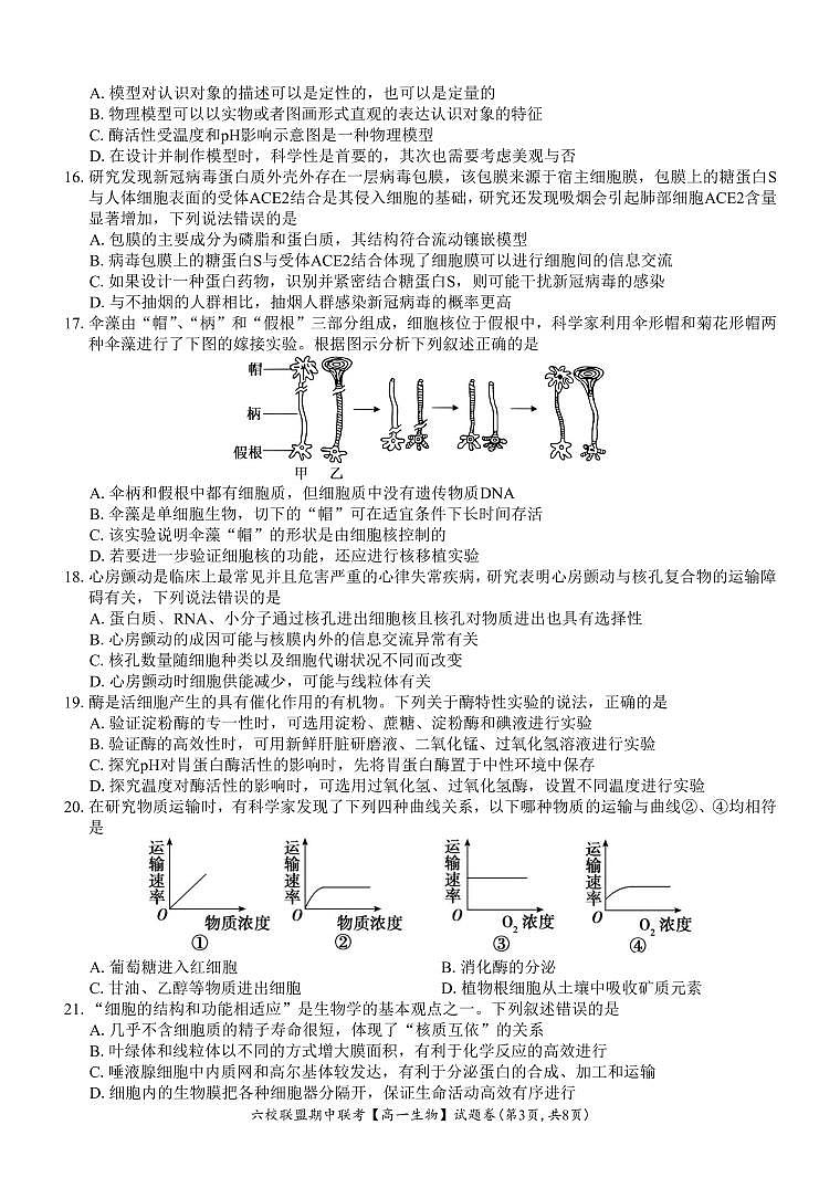 浙江省六校联盟22024-2025学年高一上学期11月期中联考生物试题第3页