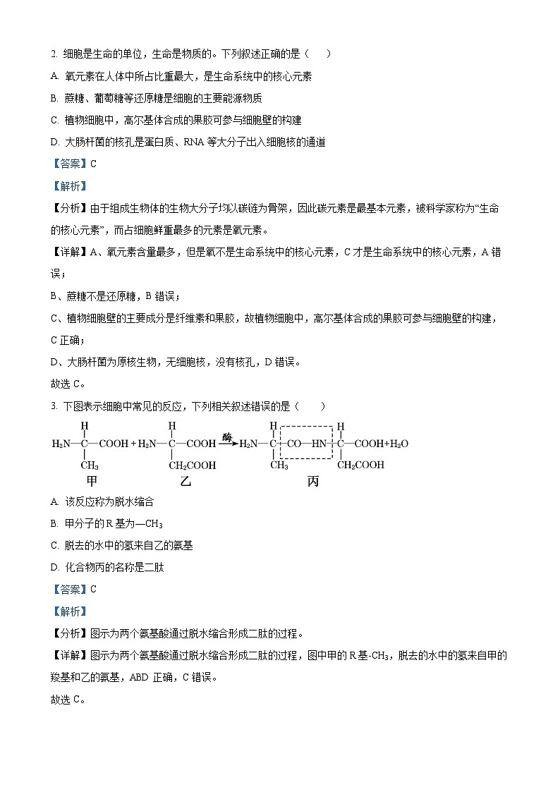 广东省阳江市高新区2024-2025学年高二上学期11月期中生物试题  Word版含解析第2页