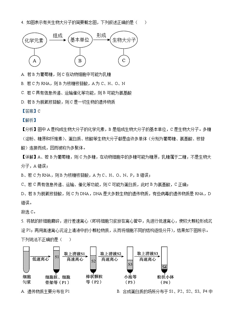 广东省阳江市高新区2024-2025学年高二上学期11月期中生物试题  Word版含解析第3页