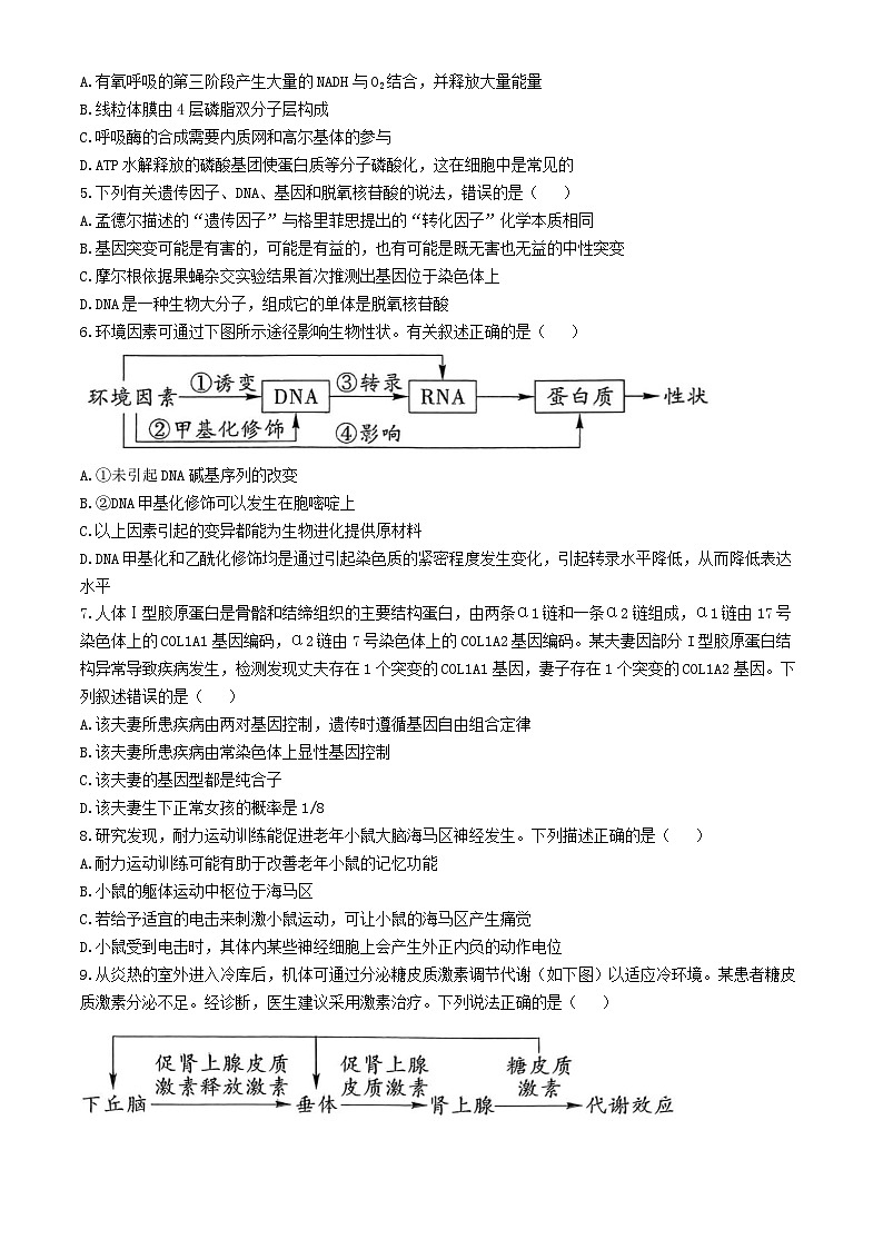 贵州省黔南布依族苗族自治州2025届高三第一次模拟考试生物第2页
