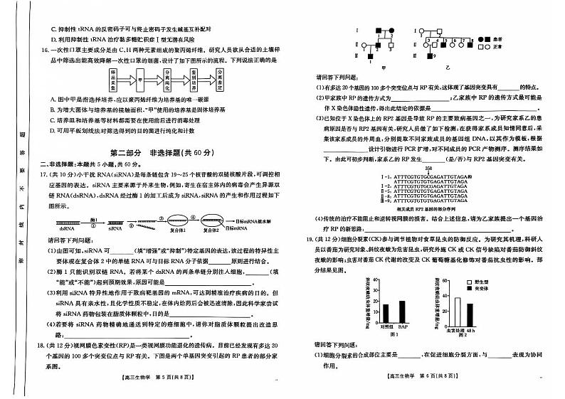 2025广东省部分学校高三上学期11月期中考试生物PDF版含解析第3页
