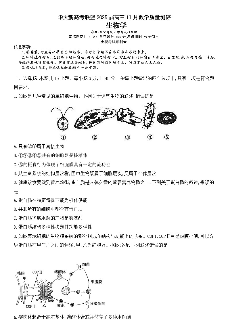 2025湖北省华大新高考联盟高三上学期11月期中联考试题生物含解析第1页
