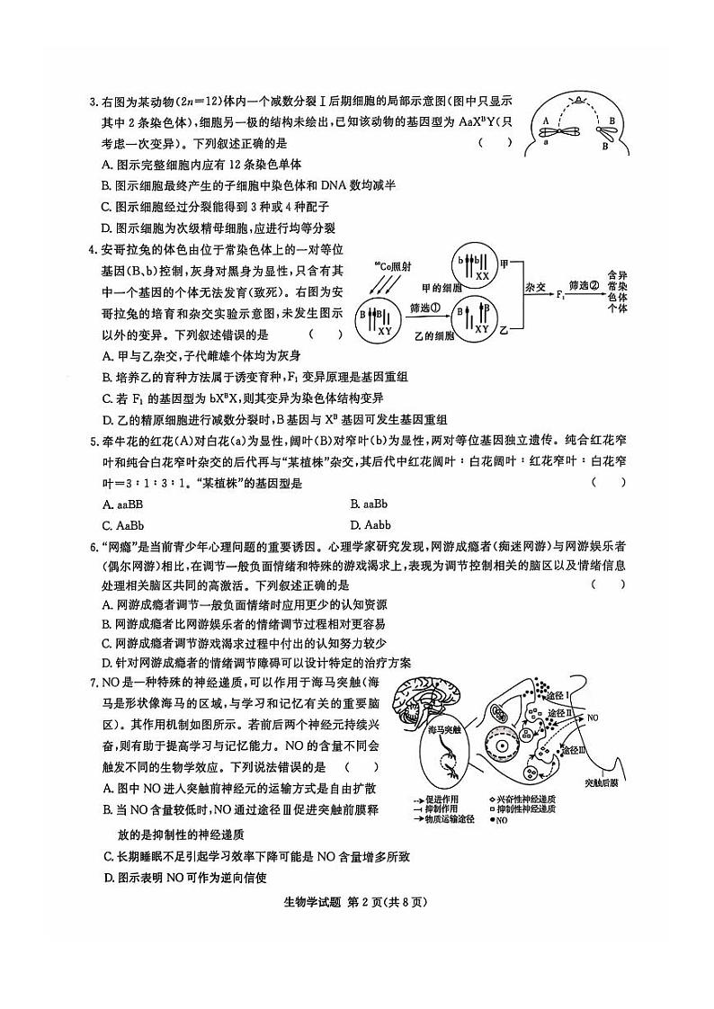 2025湖南省炎德英才名校联考联合体高三上学期第四次联考试题生物PDF版含解析第2页