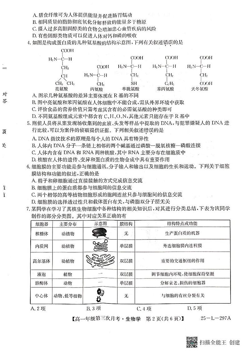 2025河北省联考高一上学期11月第三次月考试题生物PDF版含解析第2页