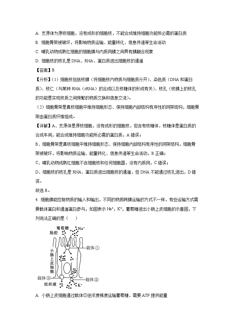 2024~2025学年山东省百师联考高三(上)一轮复习联考生物试卷(解析版)第3页