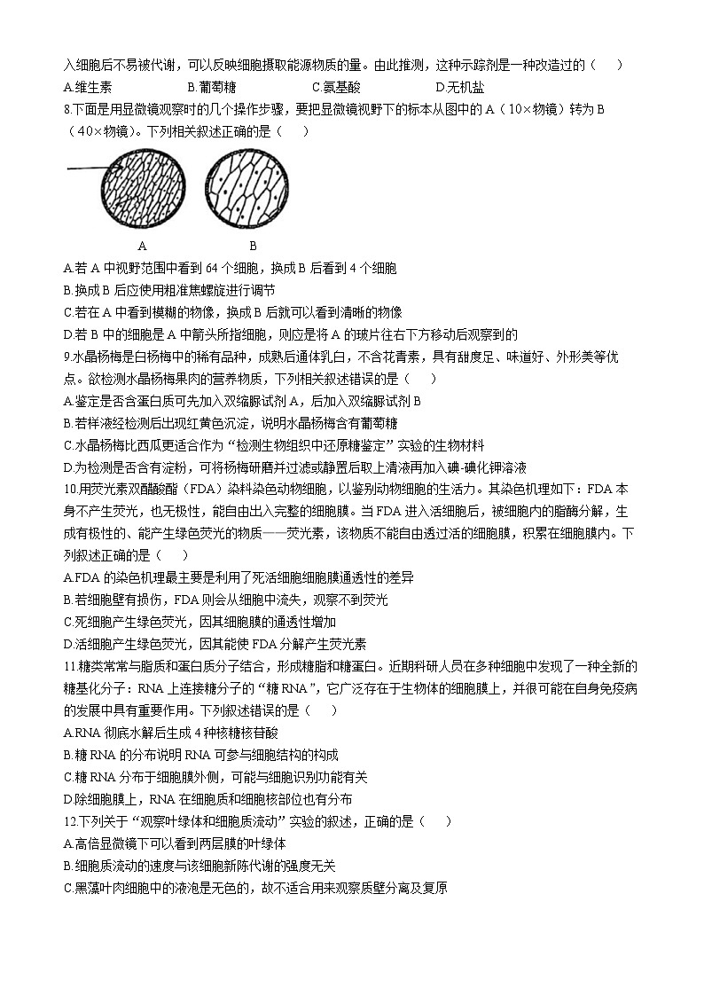 浙江省六校联盟22024-2025学年高一上学期11月期中联考生物试题第2页