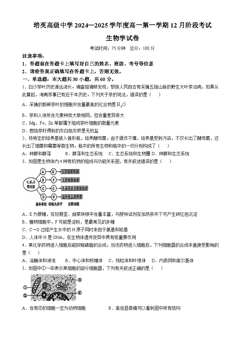 广东省江门市培英高级中学2024-2025学年高一上学期12月月考生物试题(无答案)第1页